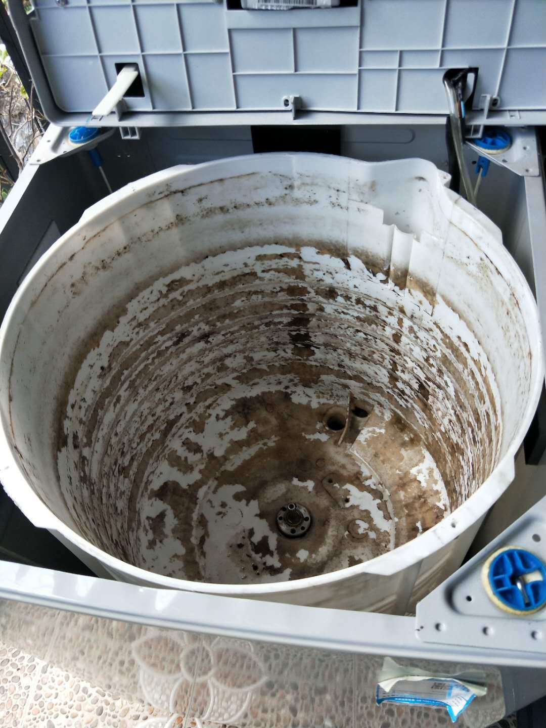 【不限品牌】清洗服务 波轮洗衣机(拆洗)深度清洗上门服务