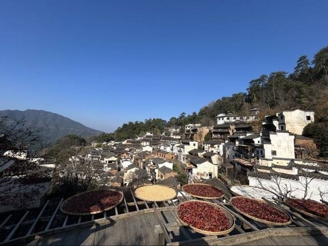 用户评价图片
